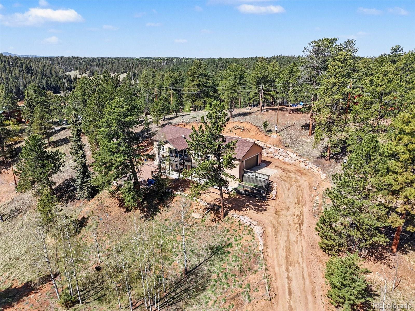 45 Valley Circle Divide CO 80814