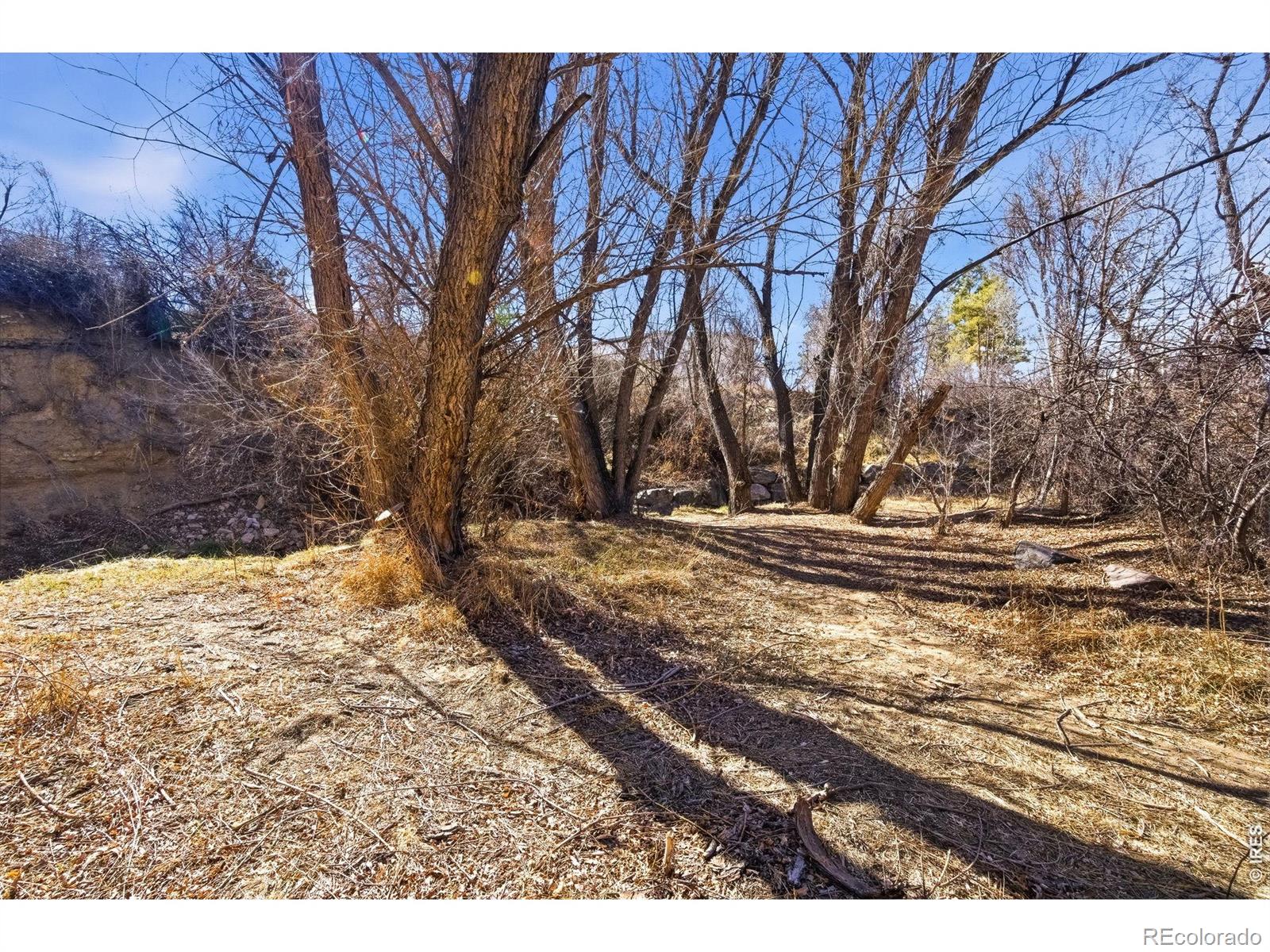347 W Rafferty Gardens Avenue Littleton CO 80120