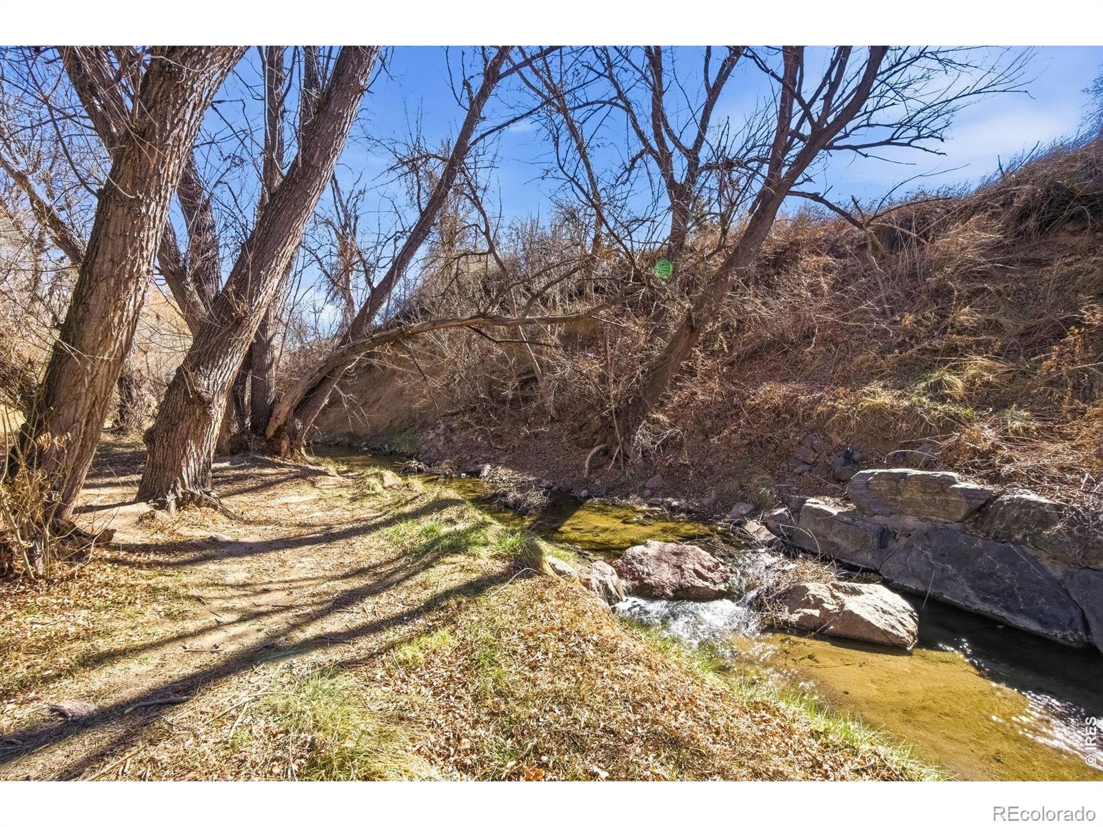 347 W Rafferty Gardens Avenue Littleton CO 80120