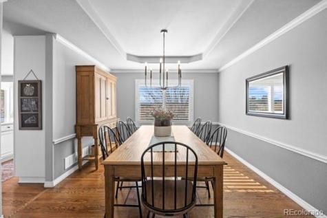 10740 Wildridge Court Parker CO 80138
