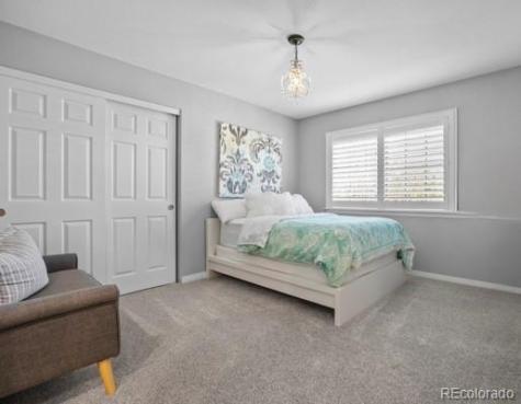10740 Wildridge Court Parker CO 80138