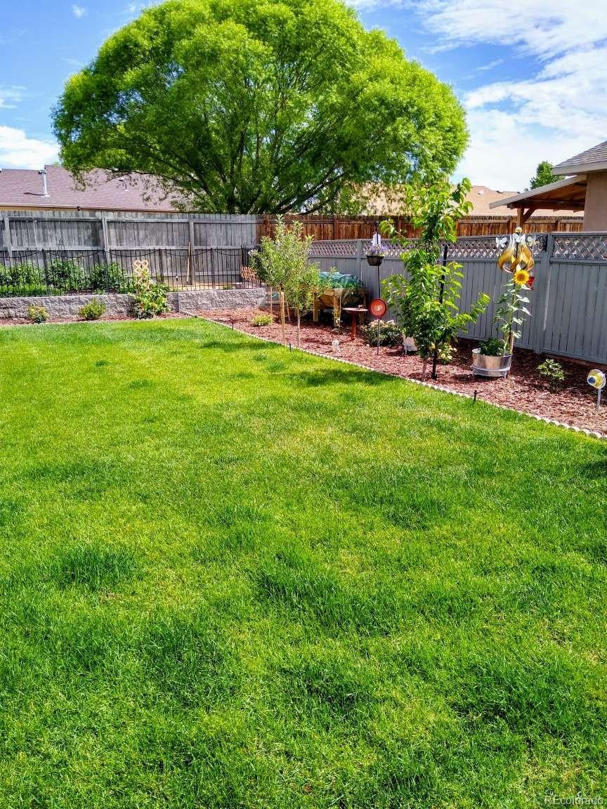 1437 Criterion Street Delta CO 81416