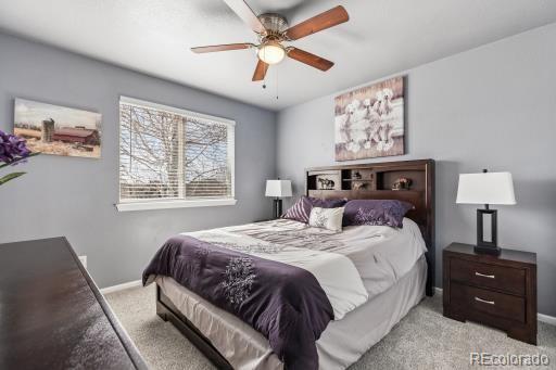 12013 Singing Winds Street Parker CO 80138