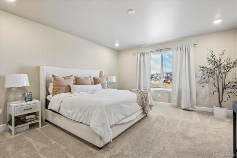 605 Silver Rock Trail Castle Rock CO 80104