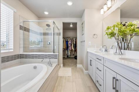 605 Silver Rock Trail Castle Rock CO 80104