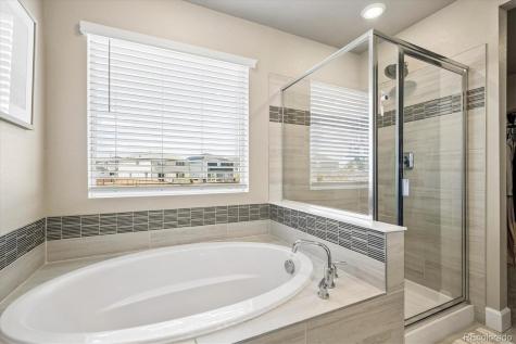 605 Silver Rock Trail Castle Rock CO 80104