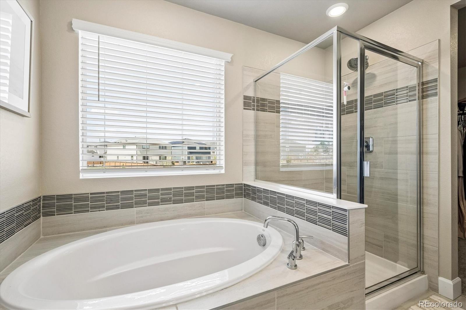 605 Silver Rock Trail Castle Rock CO 80104