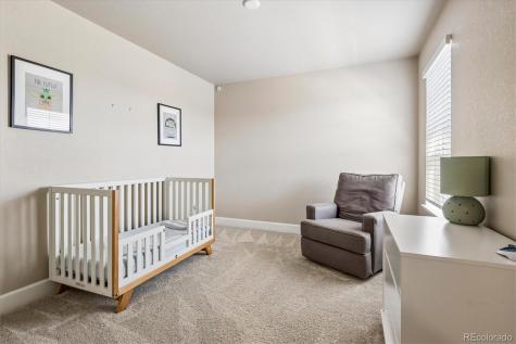 605 Silver Rock Trail Castle Rock CO 80104