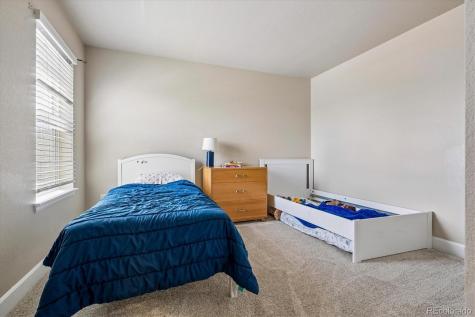 605 Silver Rock Trail Castle Rock CO 80104