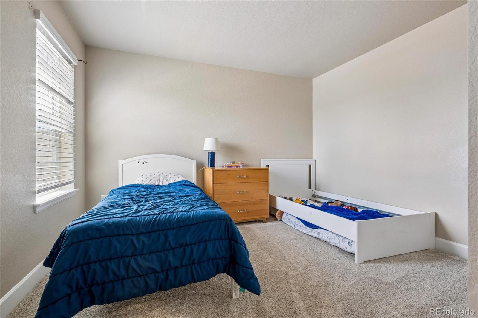 605 Silver Rock Trail Castle Rock CO 80104