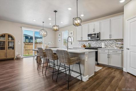 605 Silver Rock Trail Castle Rock CO 80104