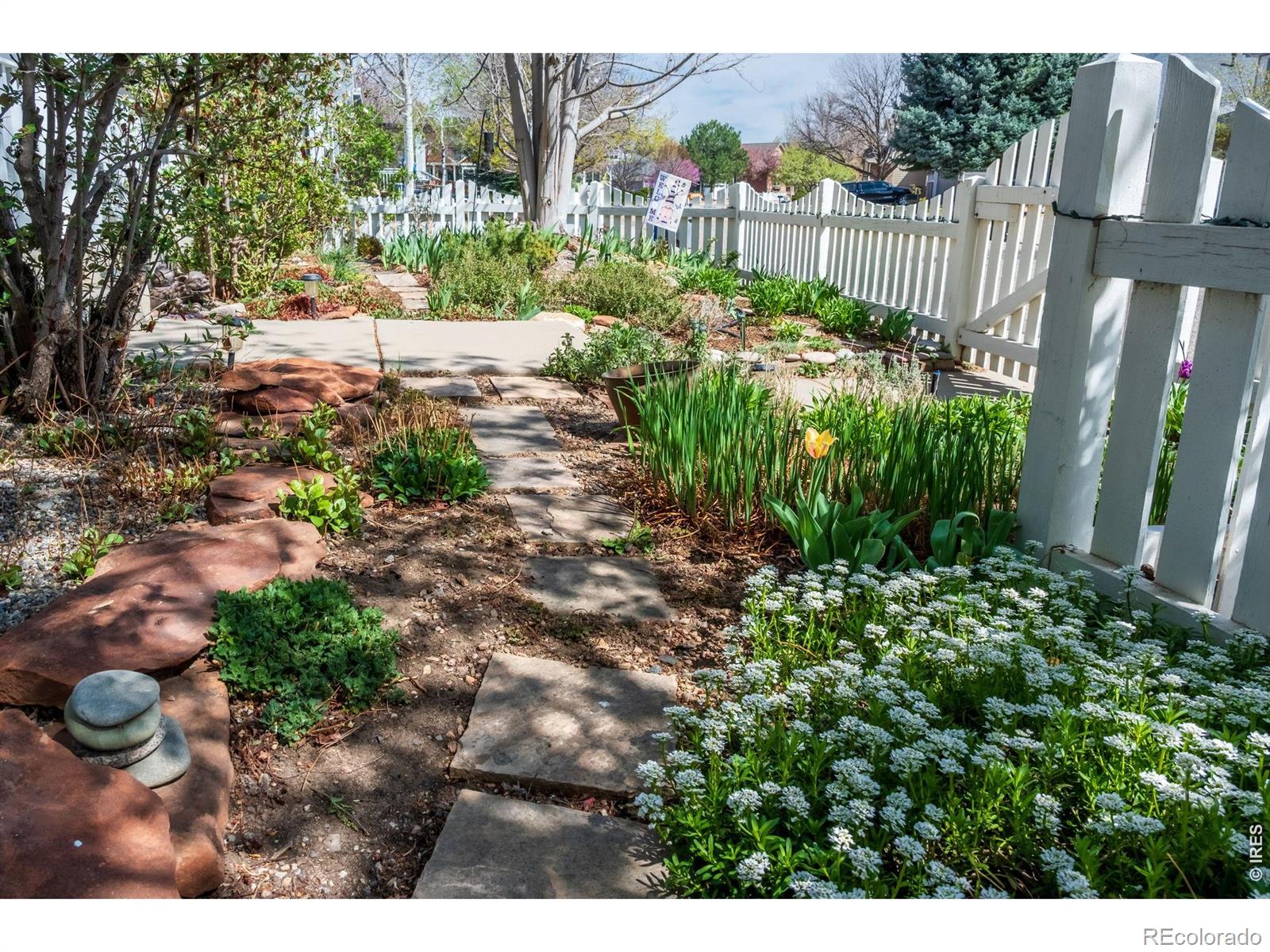 2112 Pintail Drive Longmont CO 80504