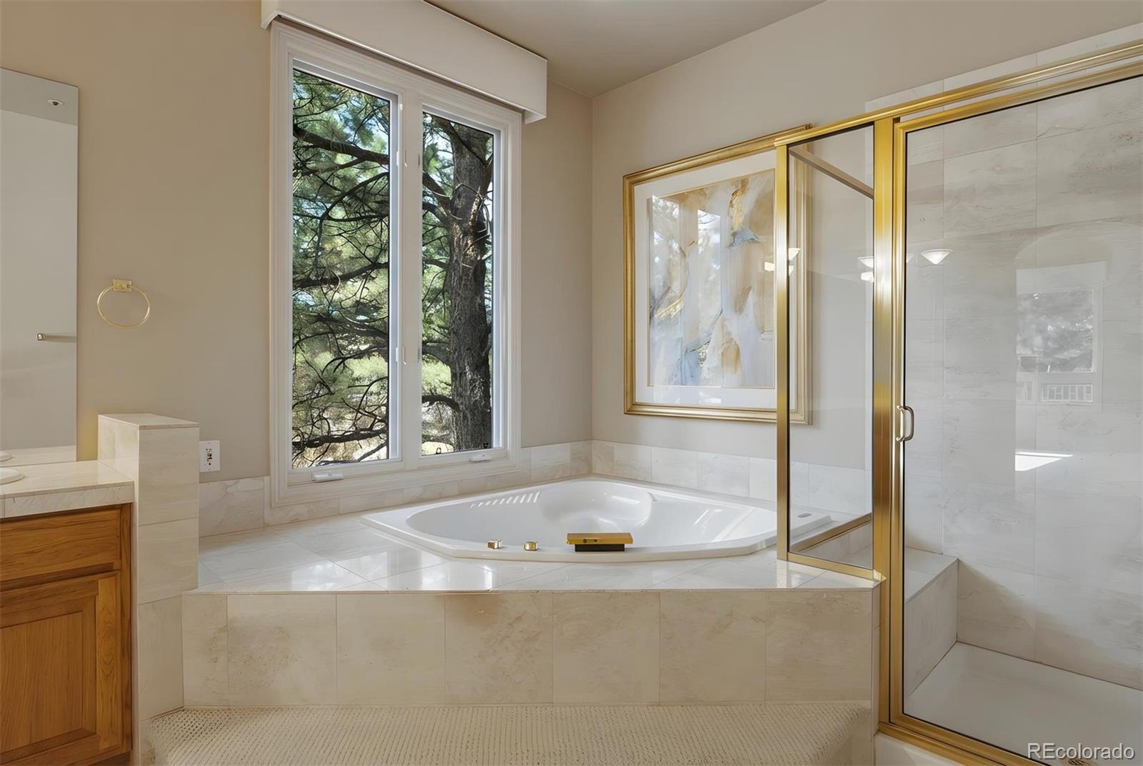 3202 Country Club Parkway Castle Rock CO 80108