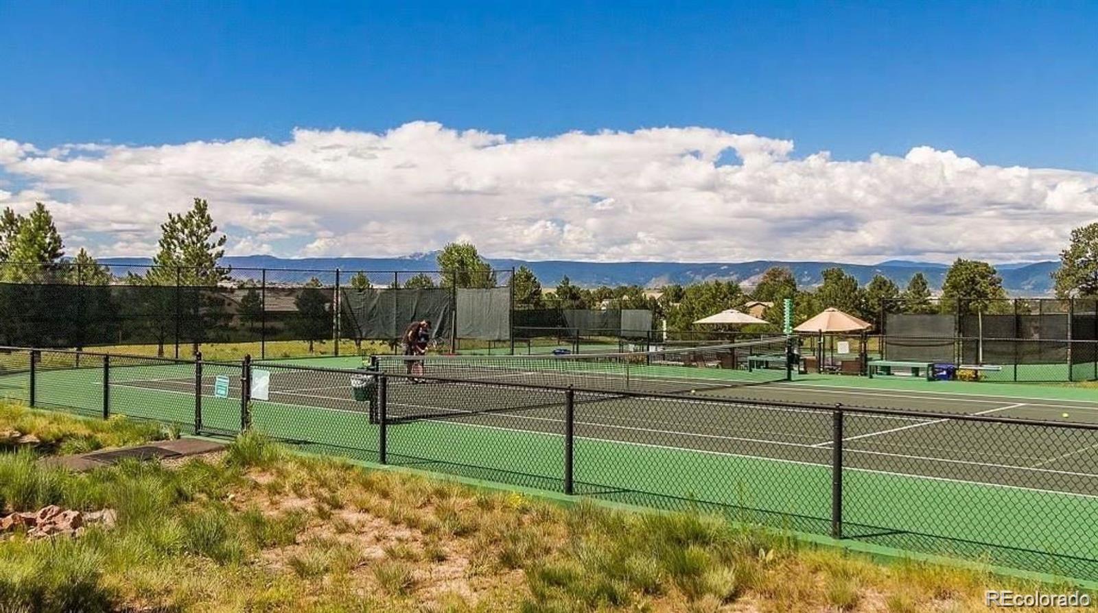 3202 Country Club Parkway Castle Rock CO 80108