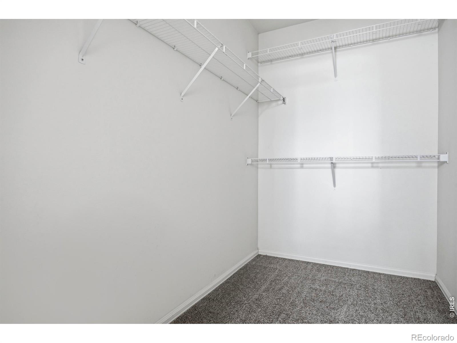 2468 Milton Lane Fort Collins CO 80524
