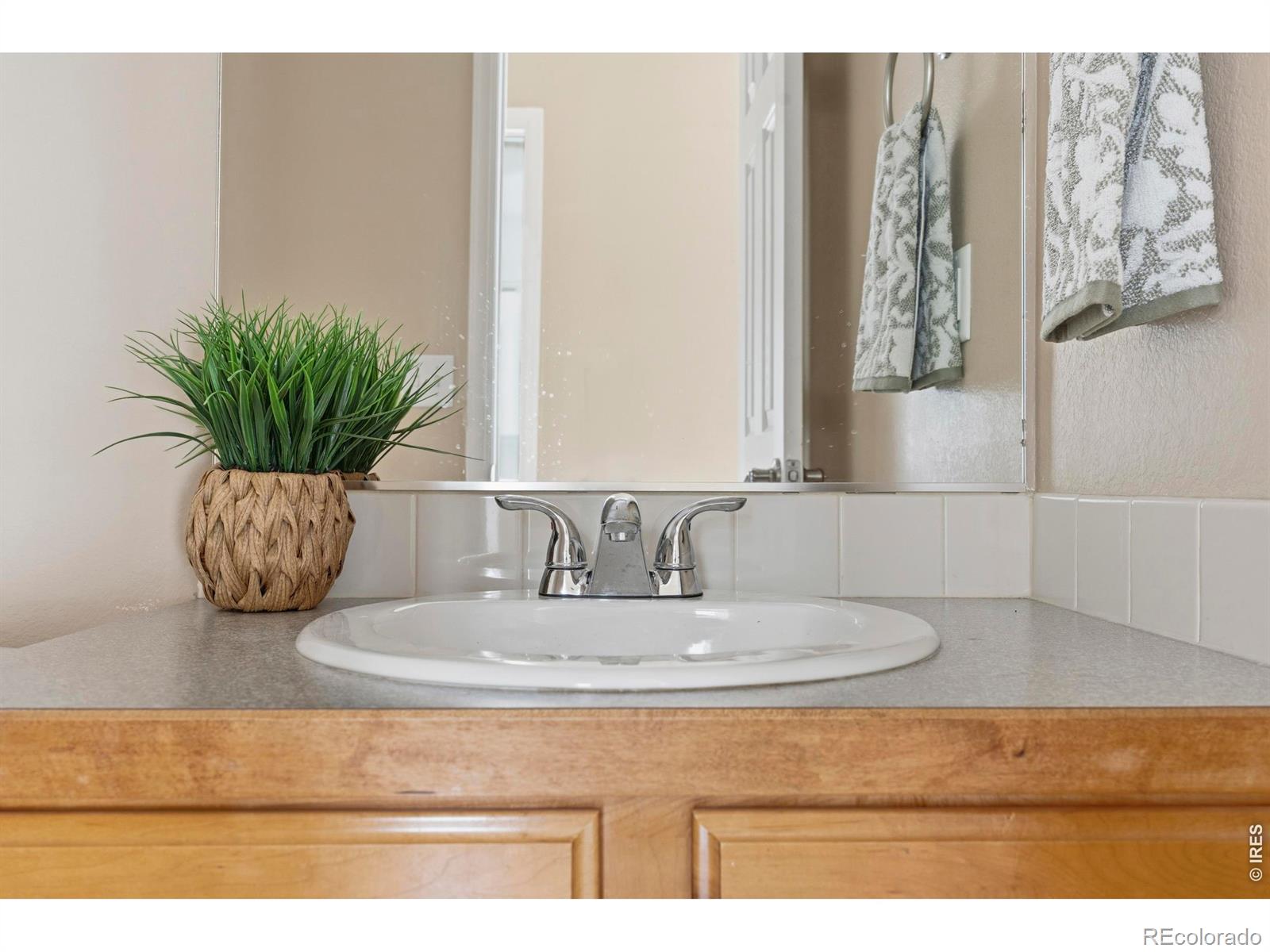 2468 Milton Lane Fort Collins CO 80524
