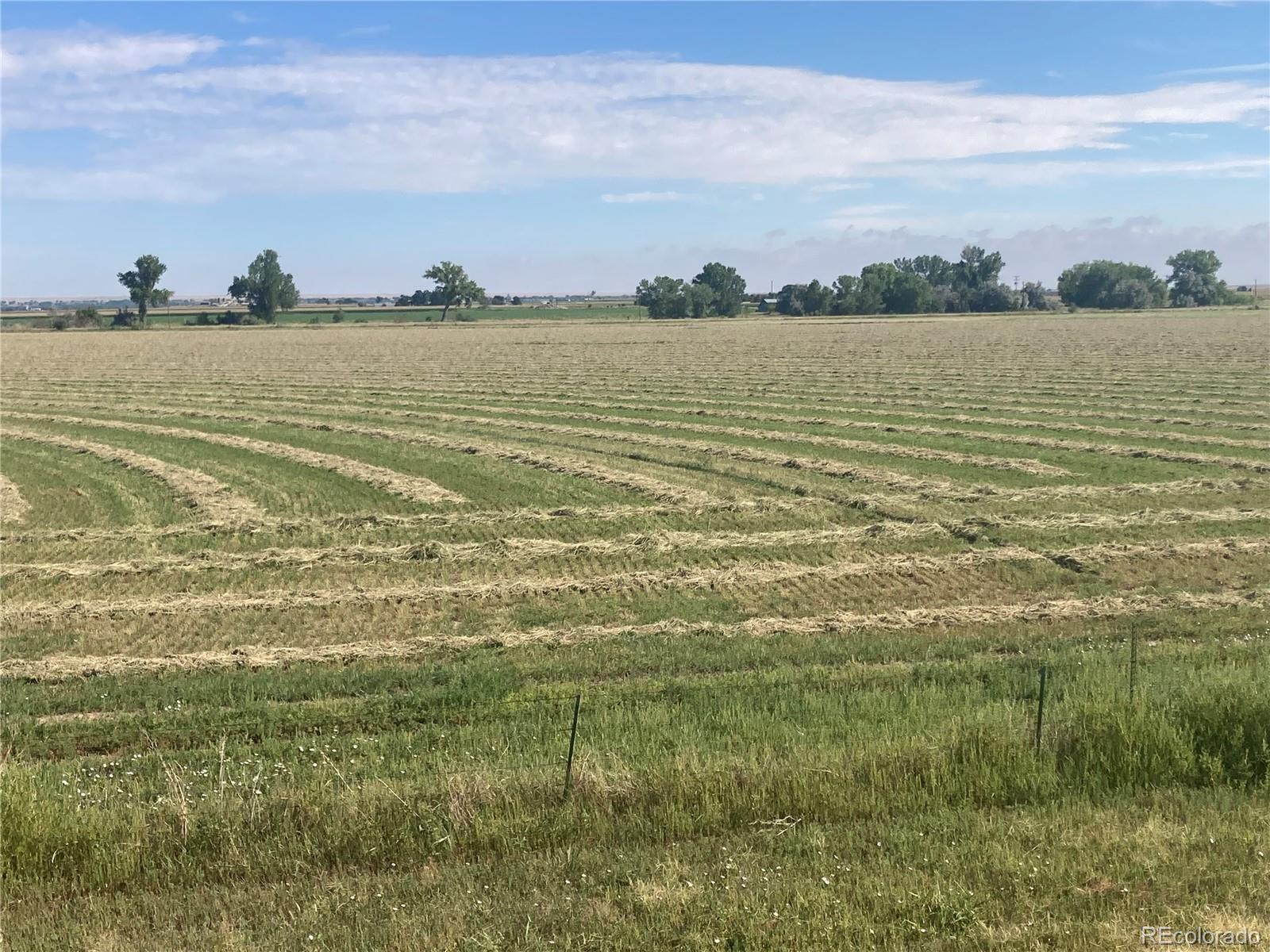 000 County Road 24 La Junta CO 81050