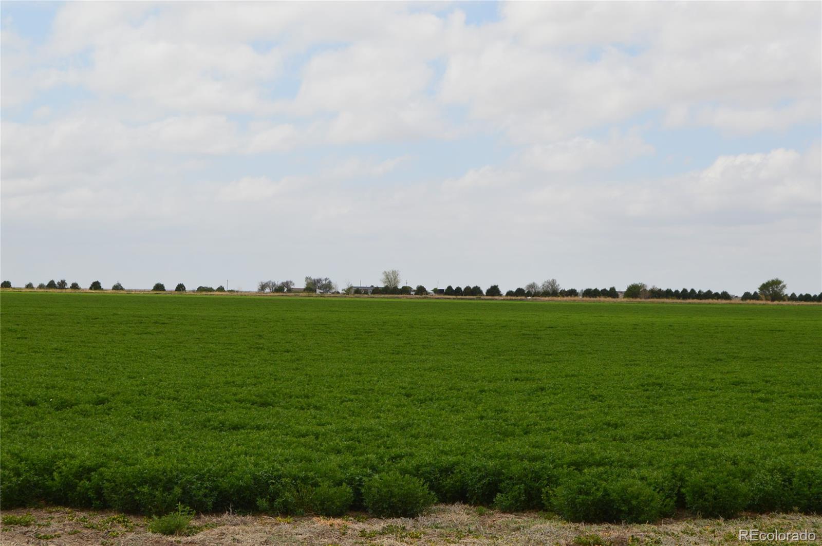 000 County Road 24 La Junta CO 81050