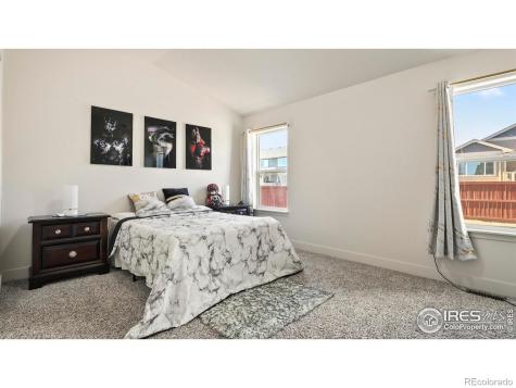 2304 Sublime Drive Windsor CO 80550
