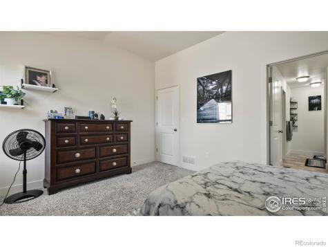 2304 Sublime Drive Windsor CO 80550
