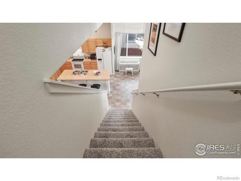 2304 Sublime Drive Windsor CO 80550