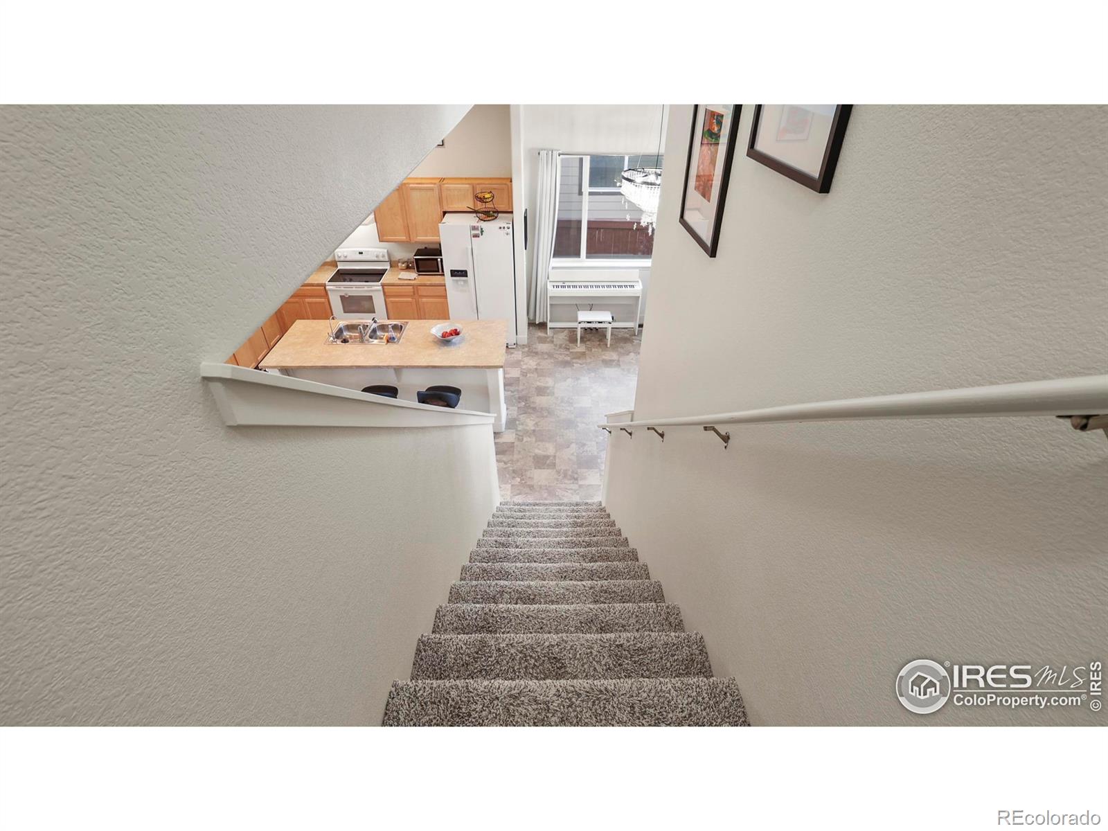 2304 Sublime Drive Windsor CO 80550