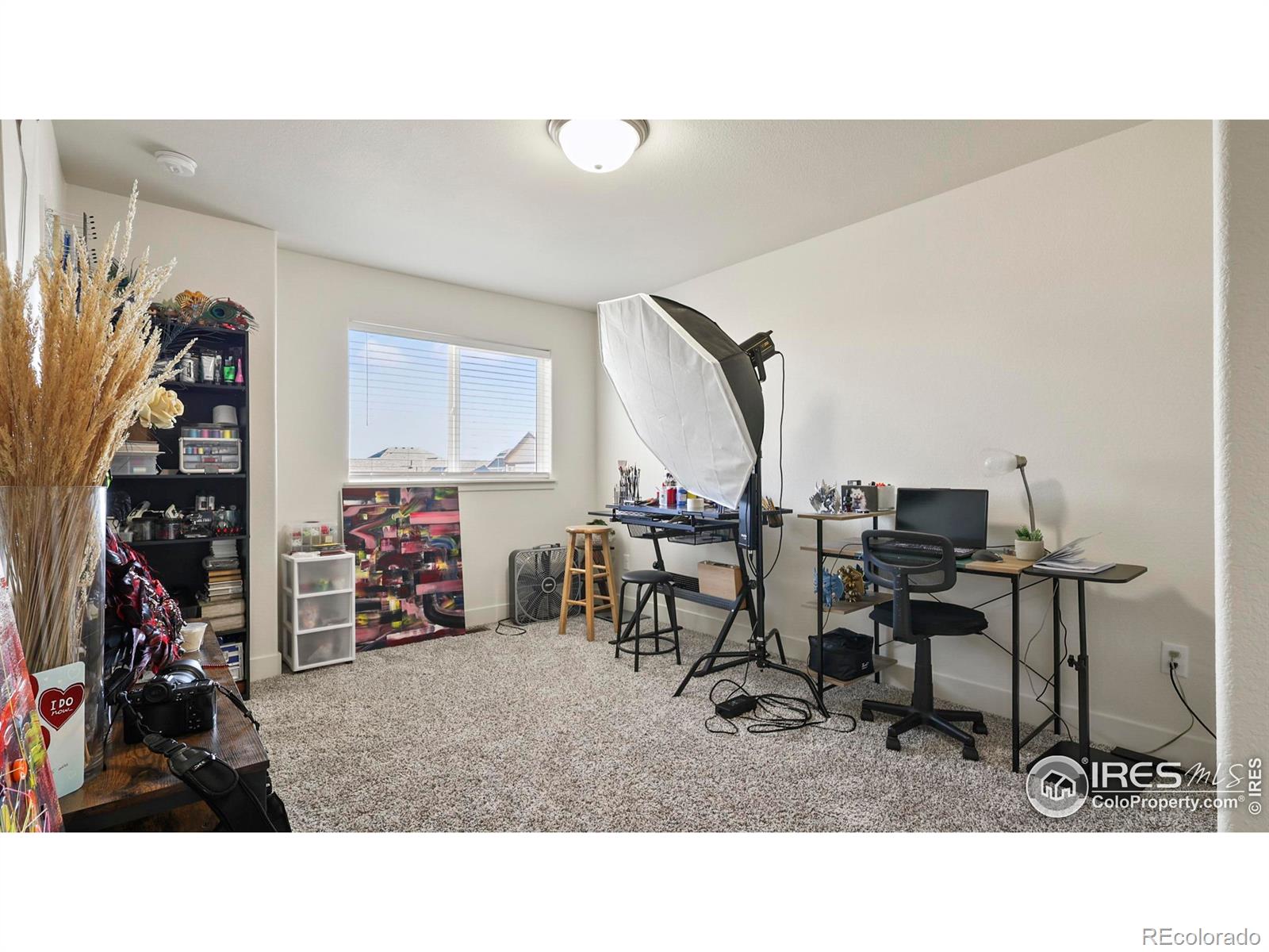 2304 Sublime Drive Windsor CO 80550