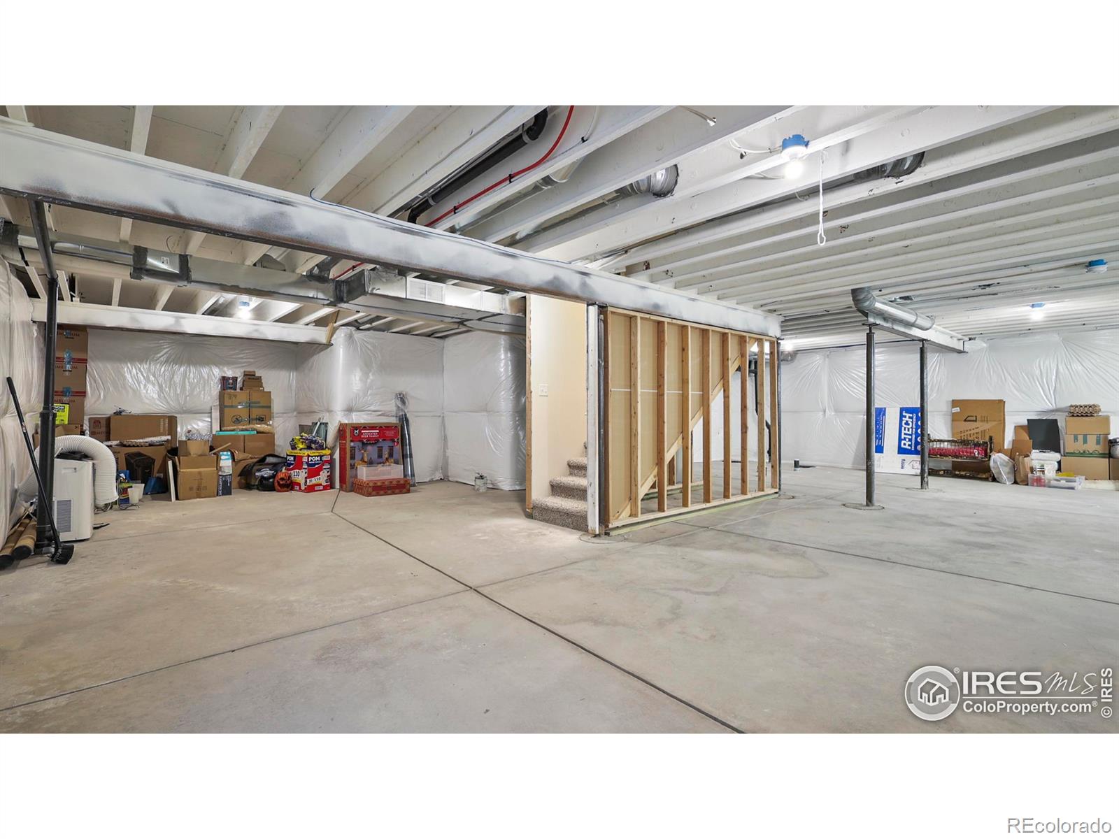 2304 Sublime Drive Windsor CO 80550