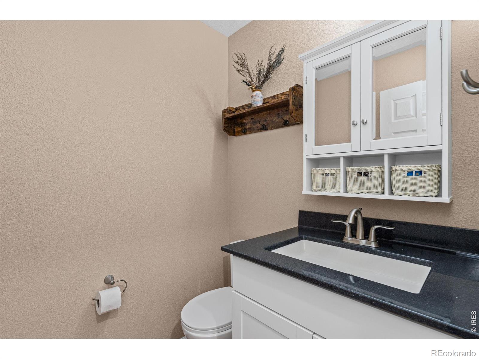 3396 Leopard Place Loveland CO 80537
