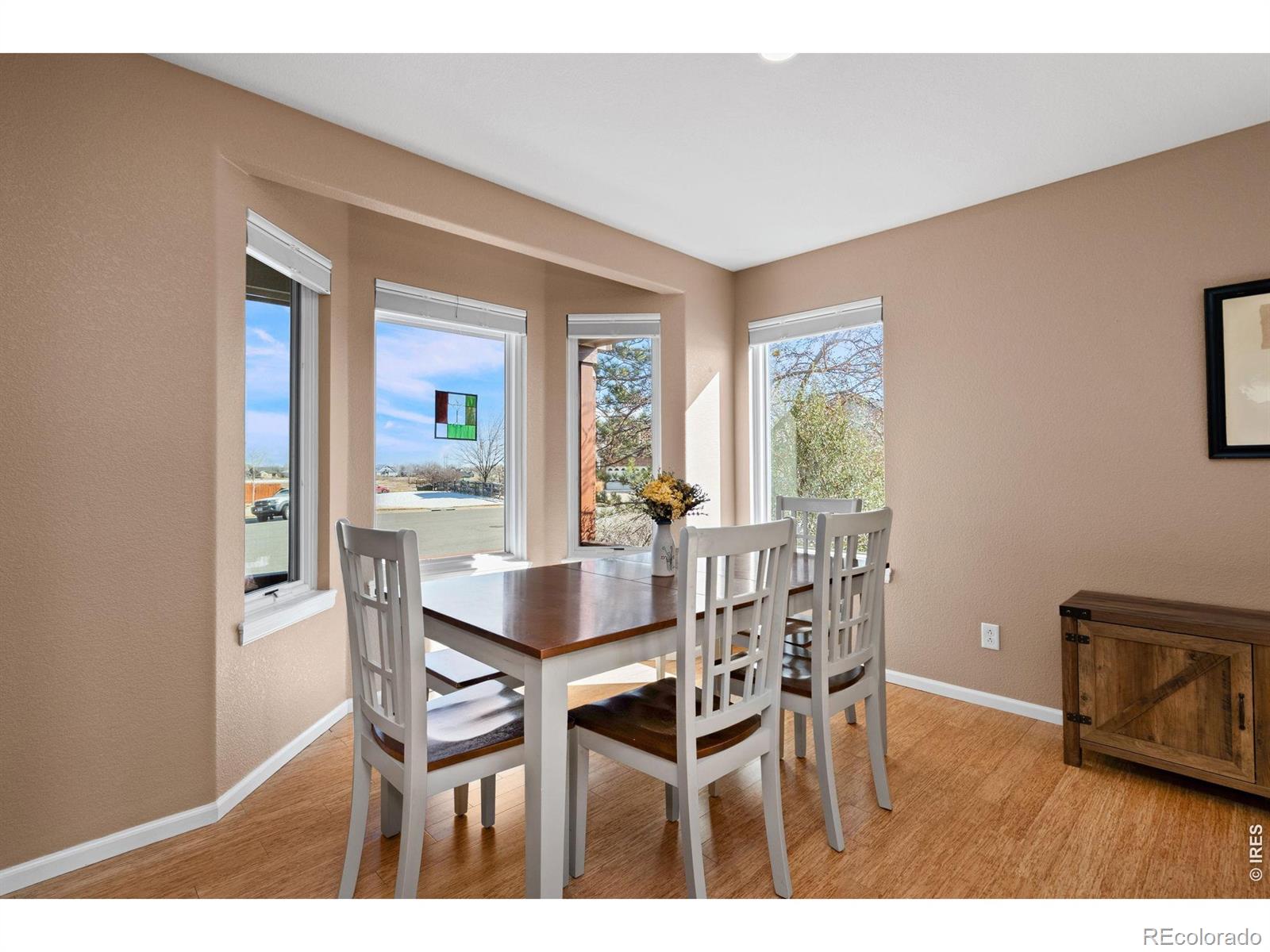 3396 Leopard Place Loveland CO 80537