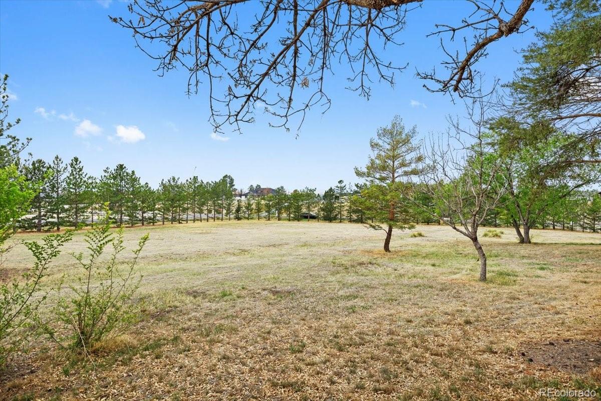 6471 E Lookout Drive Parker CO 80138
