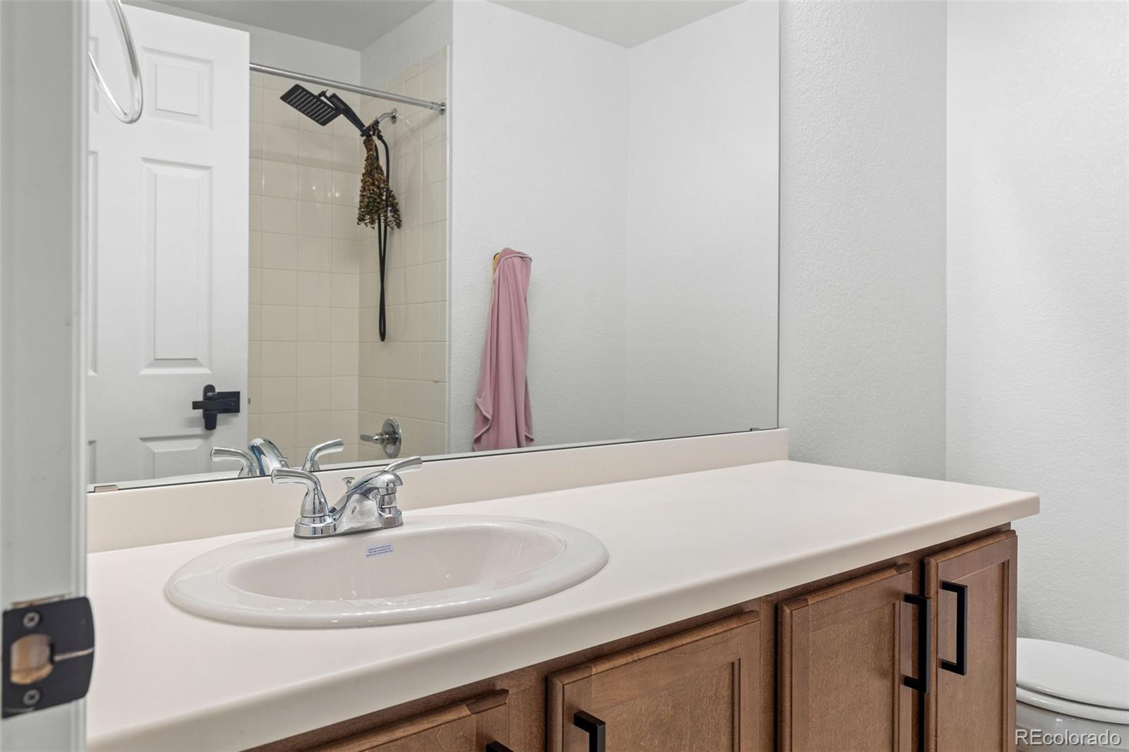1228 Argali Drive Severance CO 80550