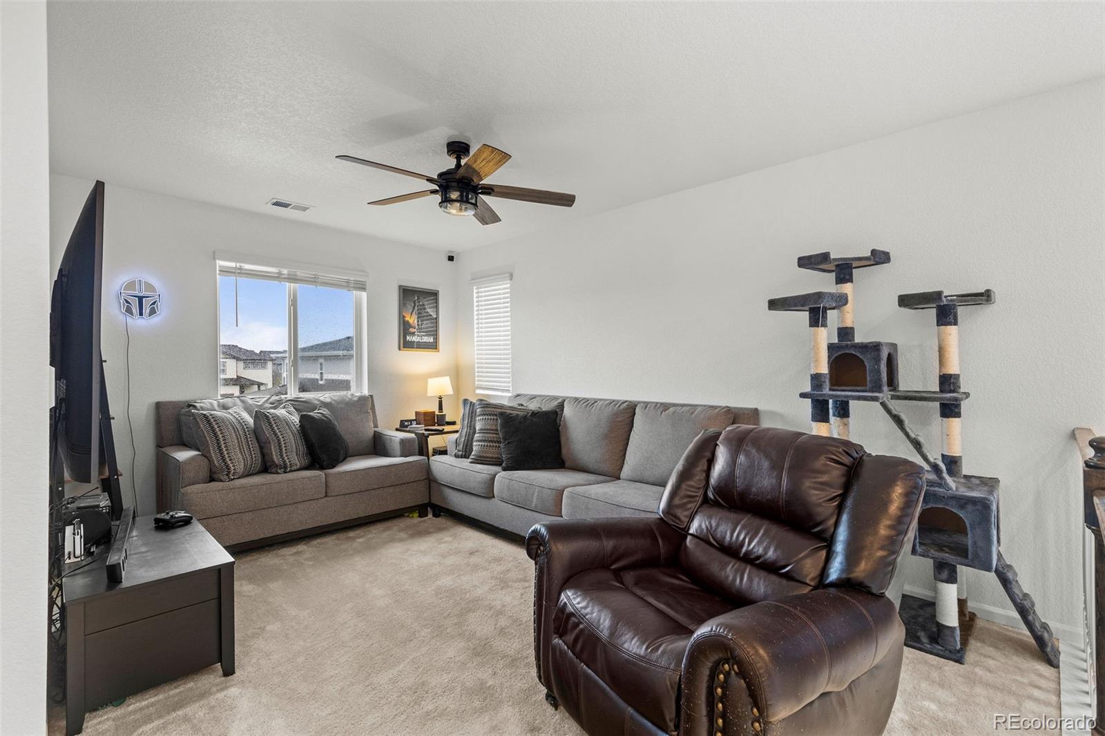 1228 Argali Drive Severance CO 80550