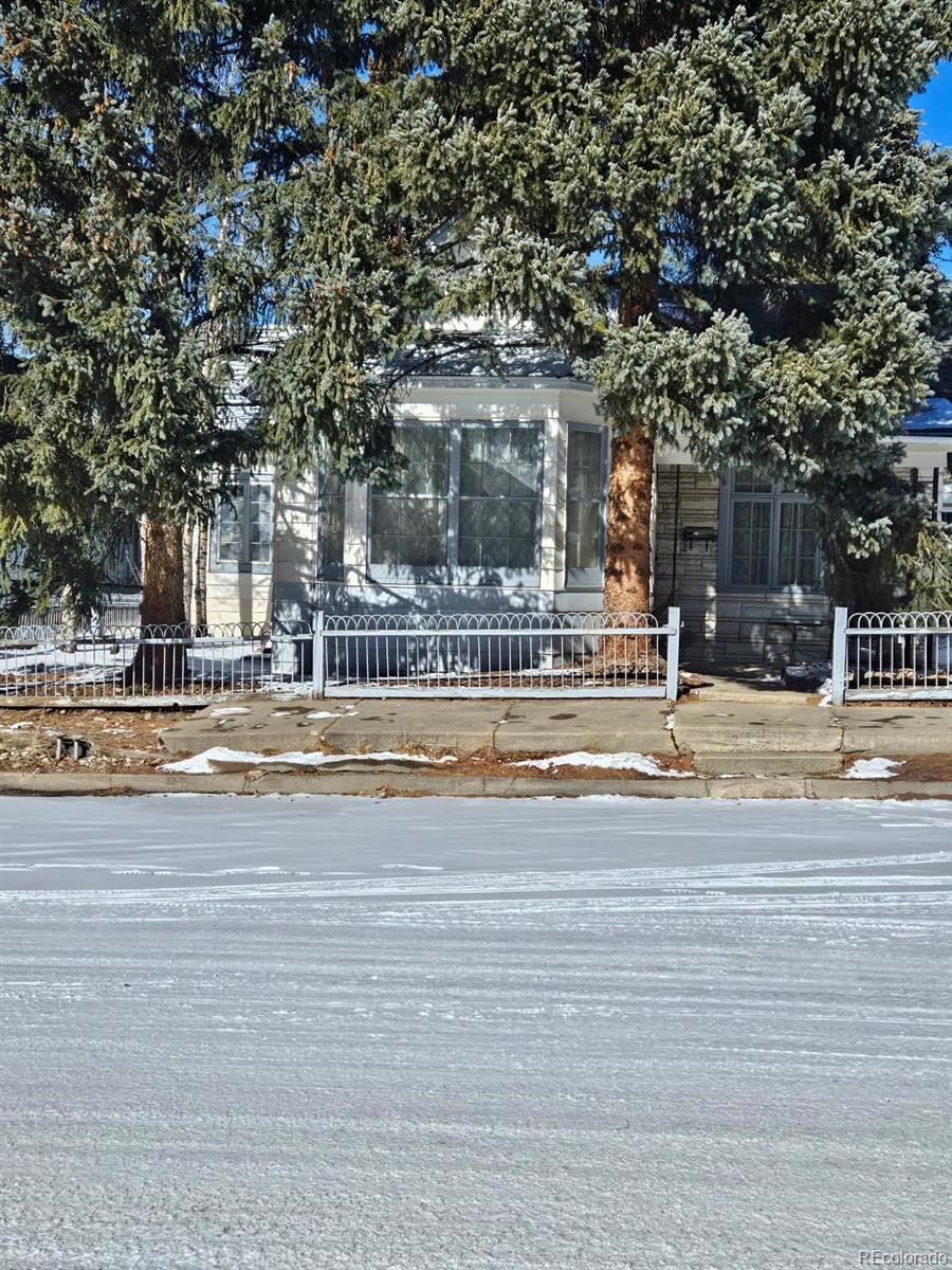414 W 3rd Street Leadville CO 80461