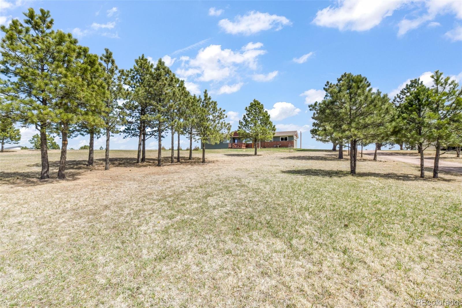 16735 High Tree Drive Elbert CO 80106