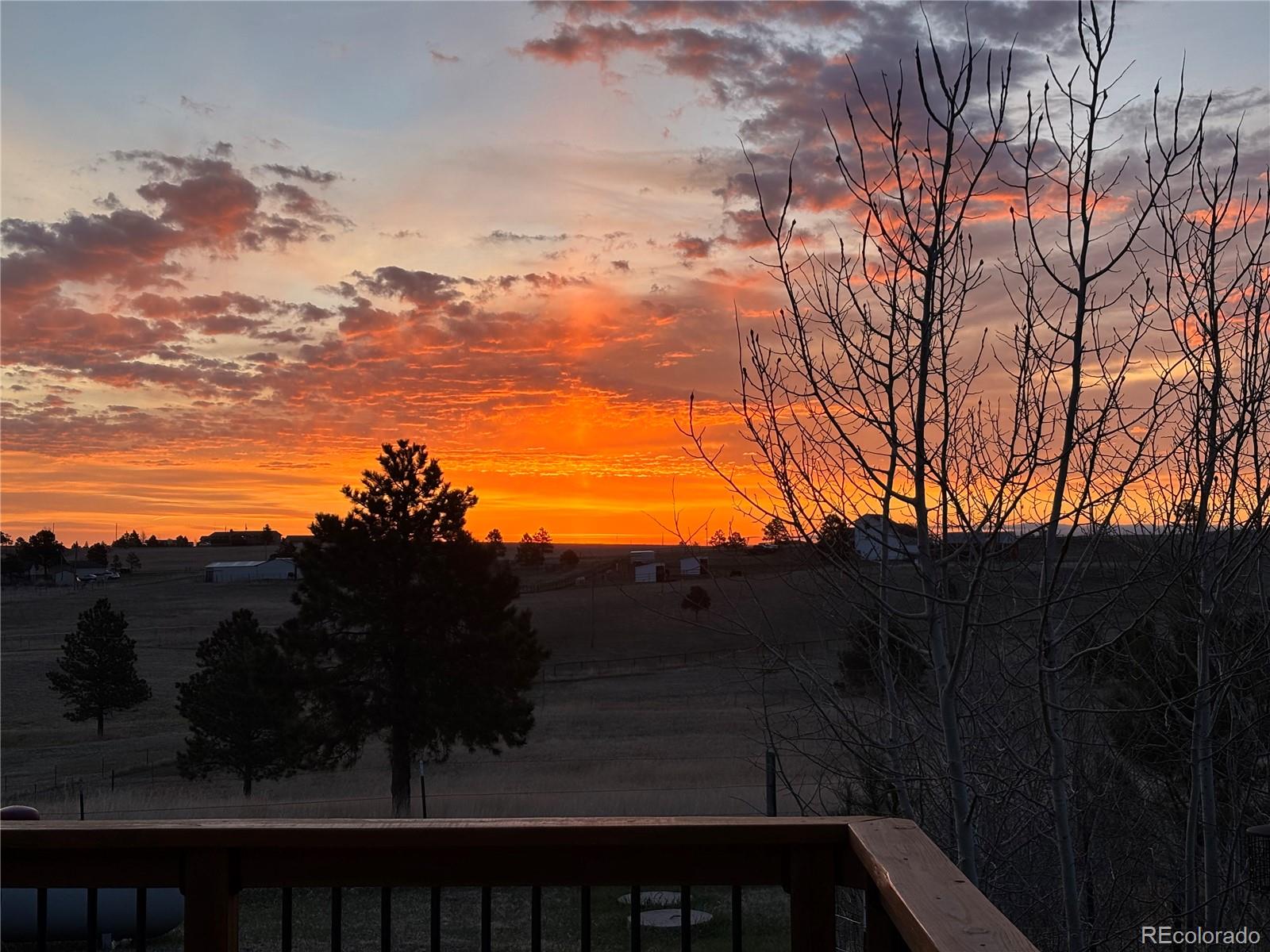16735 High Tree Drive Elbert CO 80106