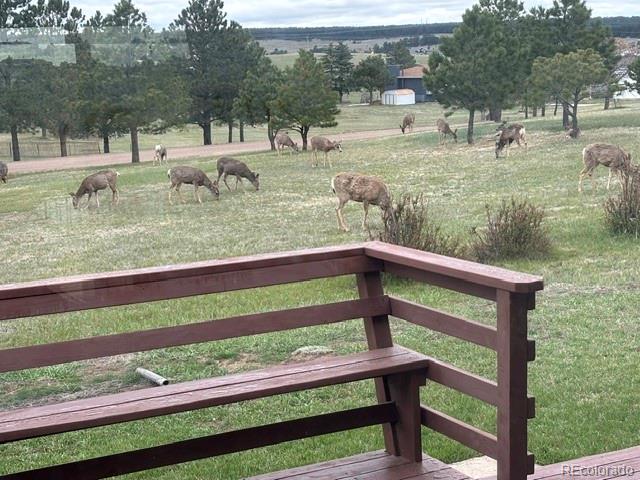 16735 High Tree Drive Elbert CO 80106