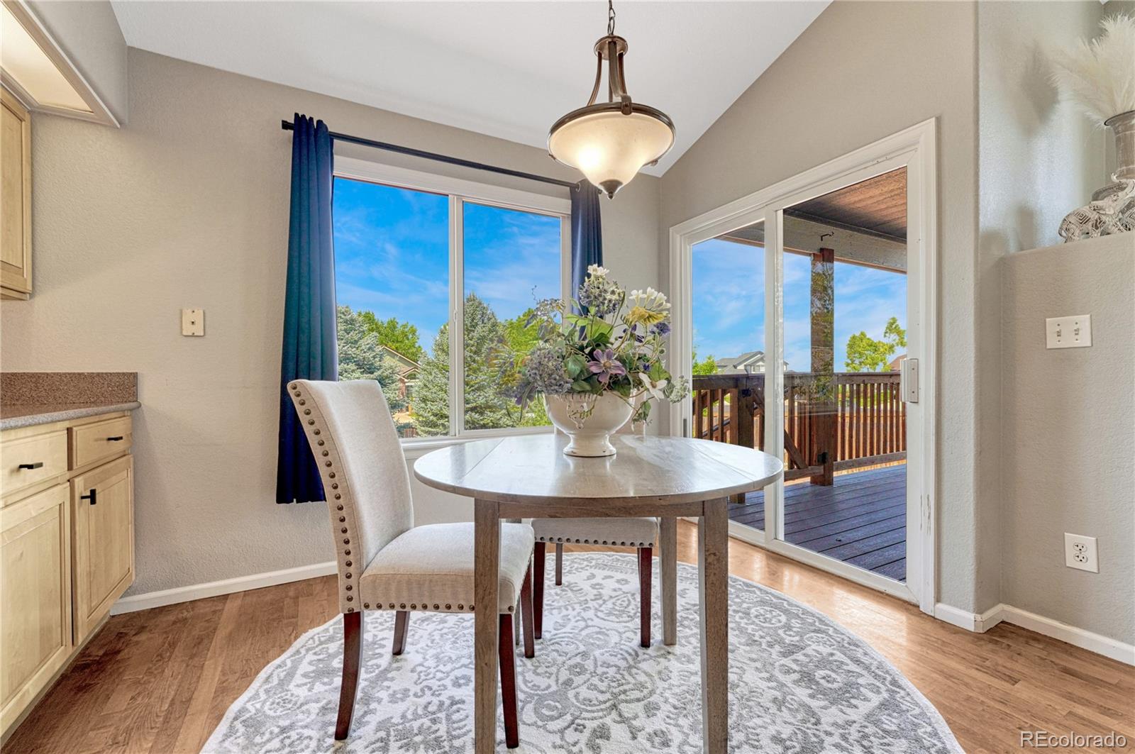 21701 Swale Avenue Parker CO 80138