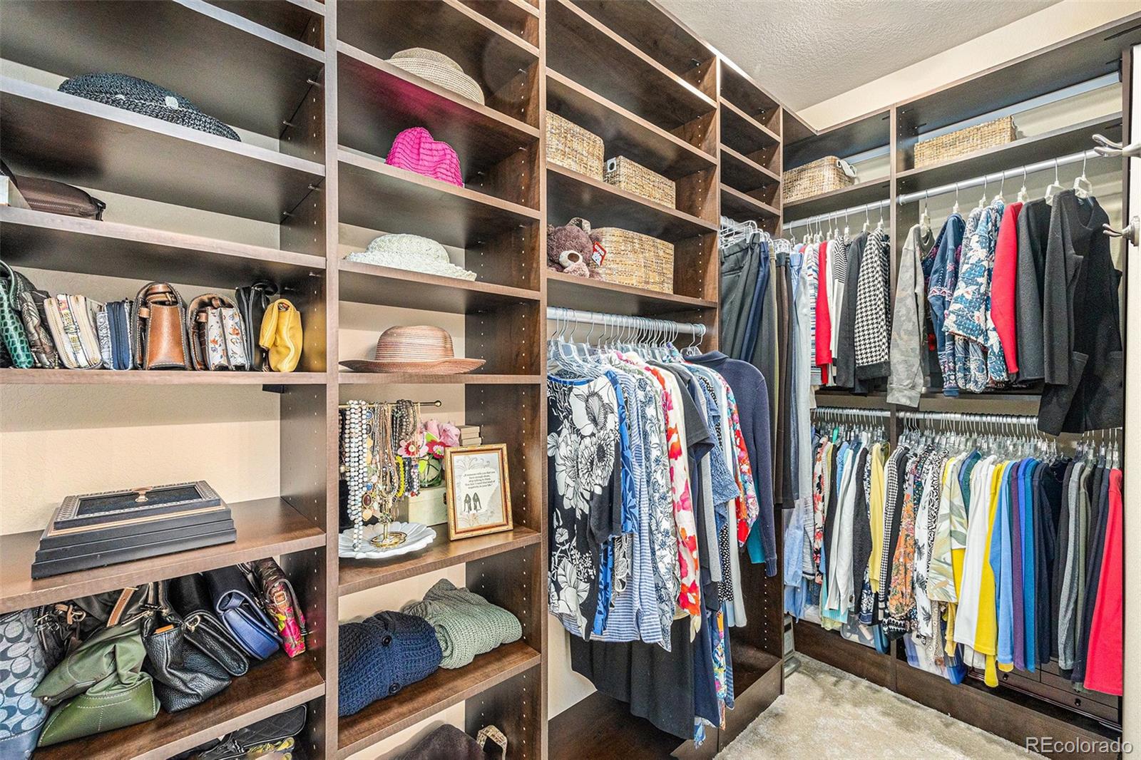 3163 N Elmira Street Denver CO 80238