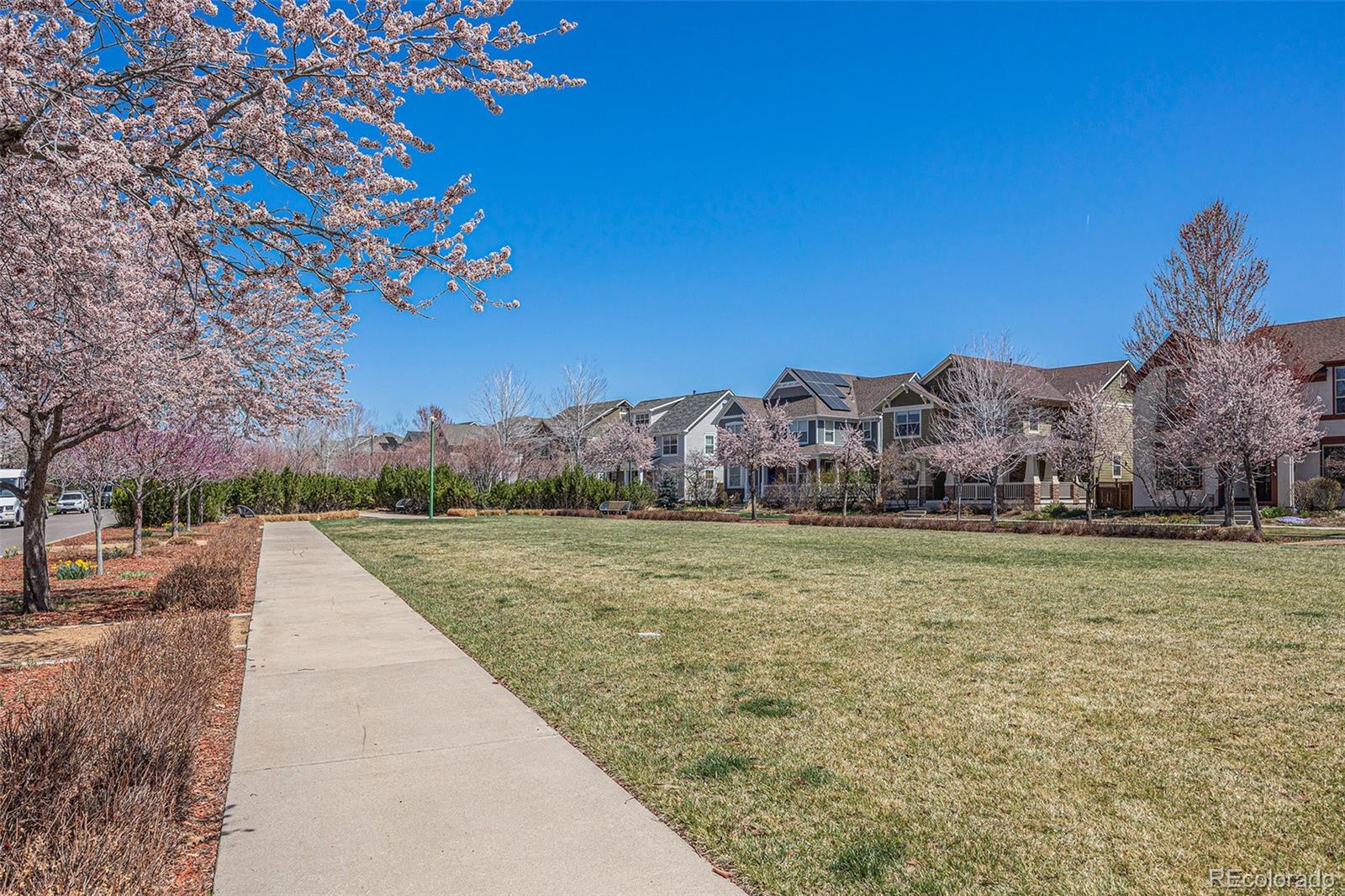 3163 N Elmira Street Denver CO 80238