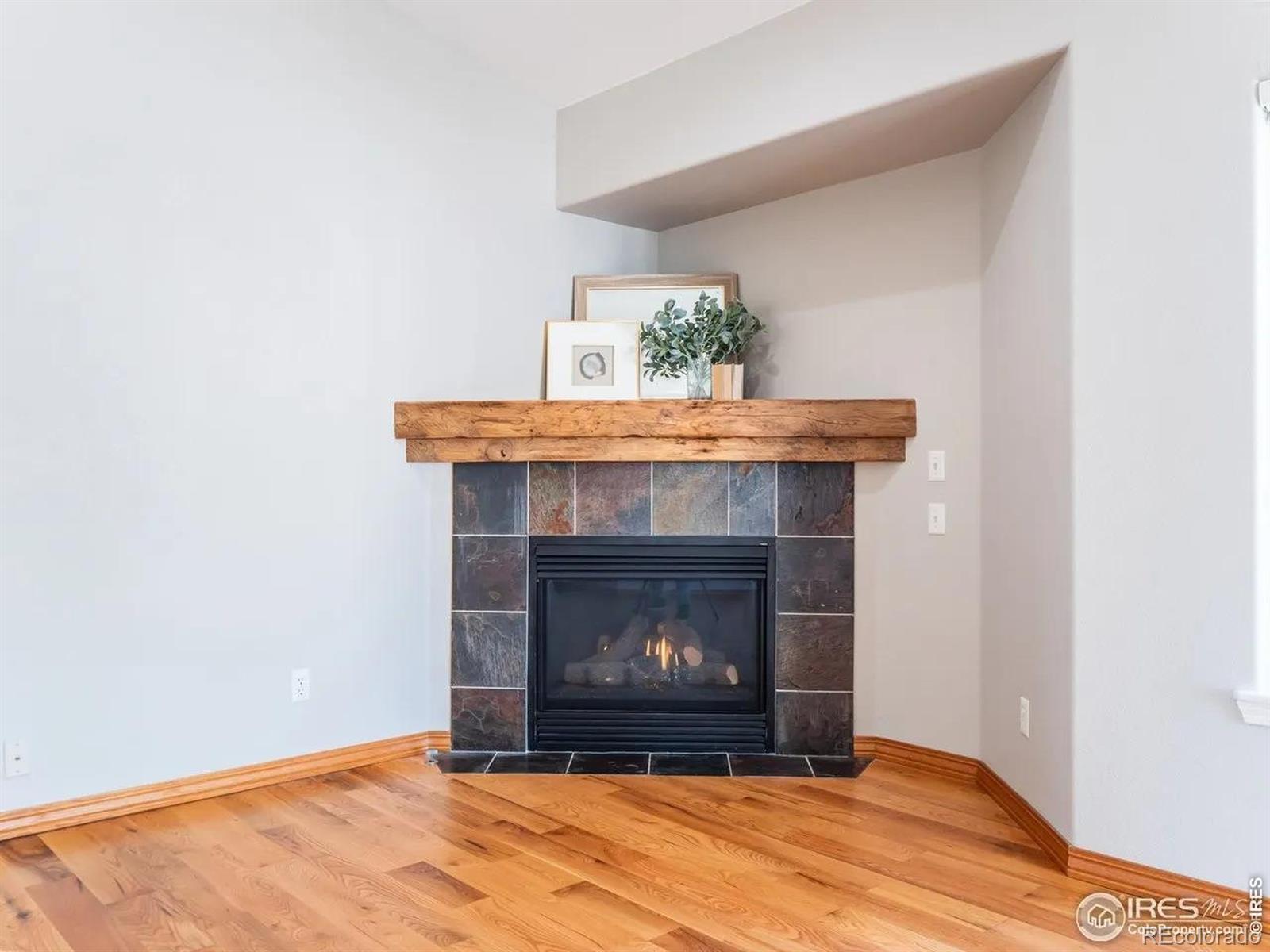 1670 Stove Prairie Circle Loveland CO 80538