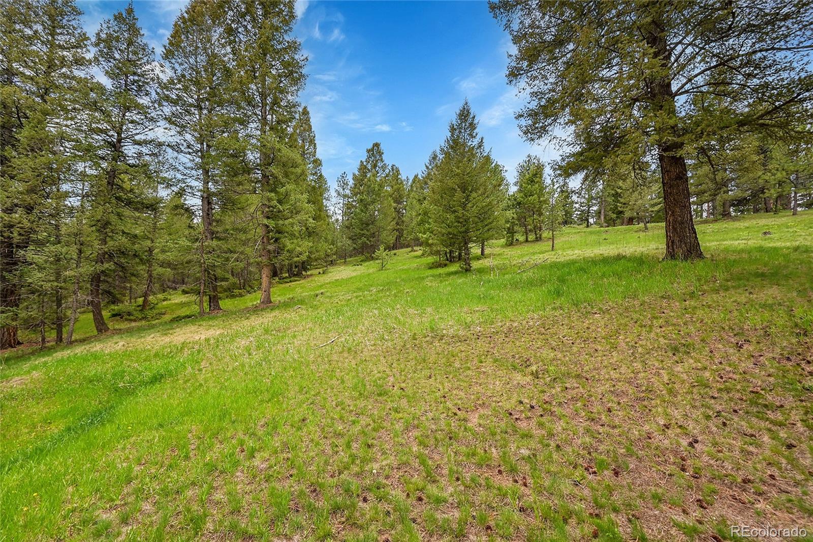 28065 Camel Heights Circle Evergreen CO 80439
