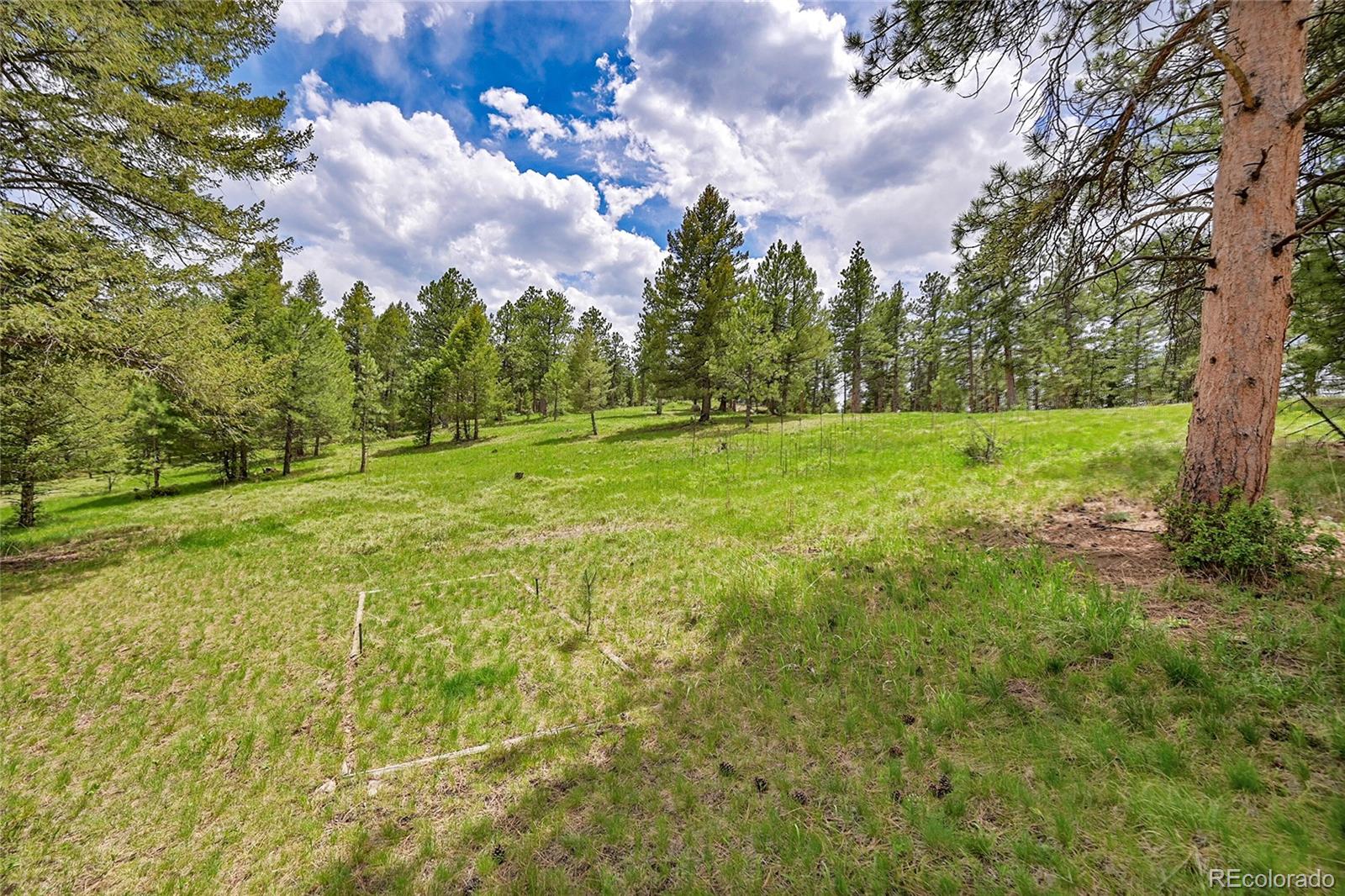 28065 Camel Heights Circle Evergreen CO 80439