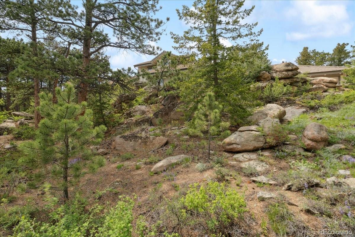 2611 Fox Acres Drive Drive E Red Feather Lakes CO 80545
