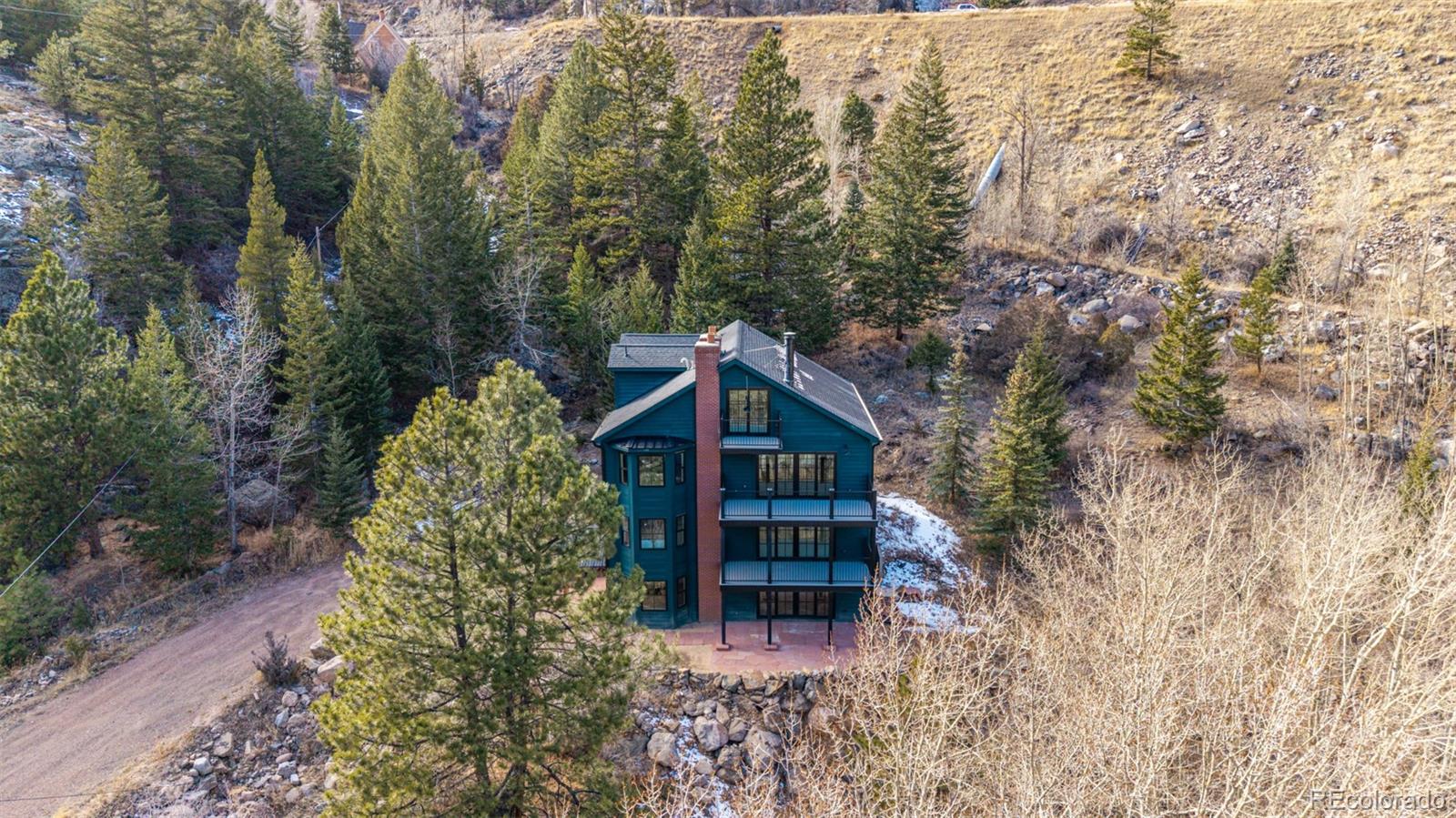 205 Loop Drive Georgetown CO 80444