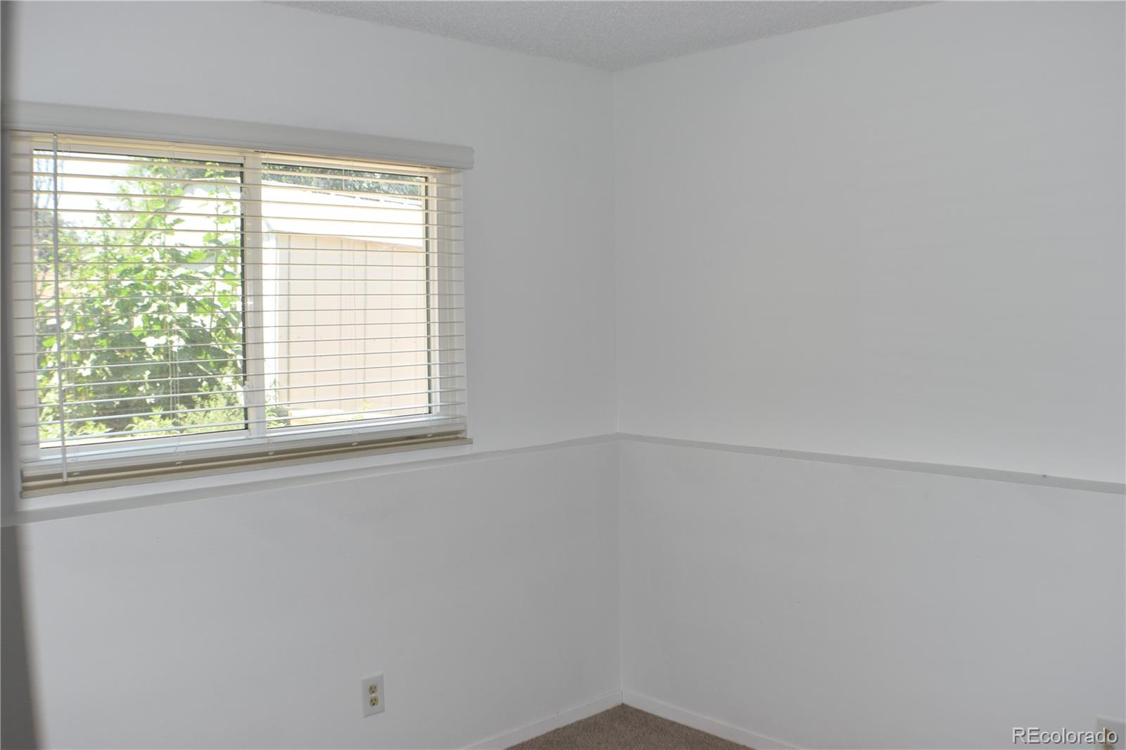 4585 Gatewood Drive Colorado Springs CO 80916