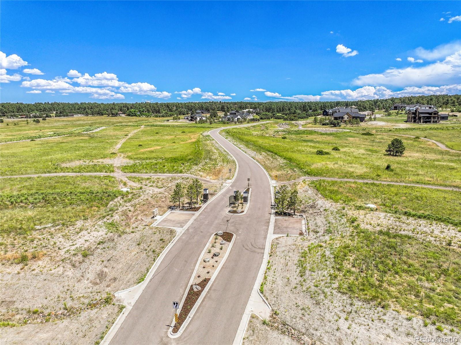 1700 Arrowpoint Court Franktown CO 80116