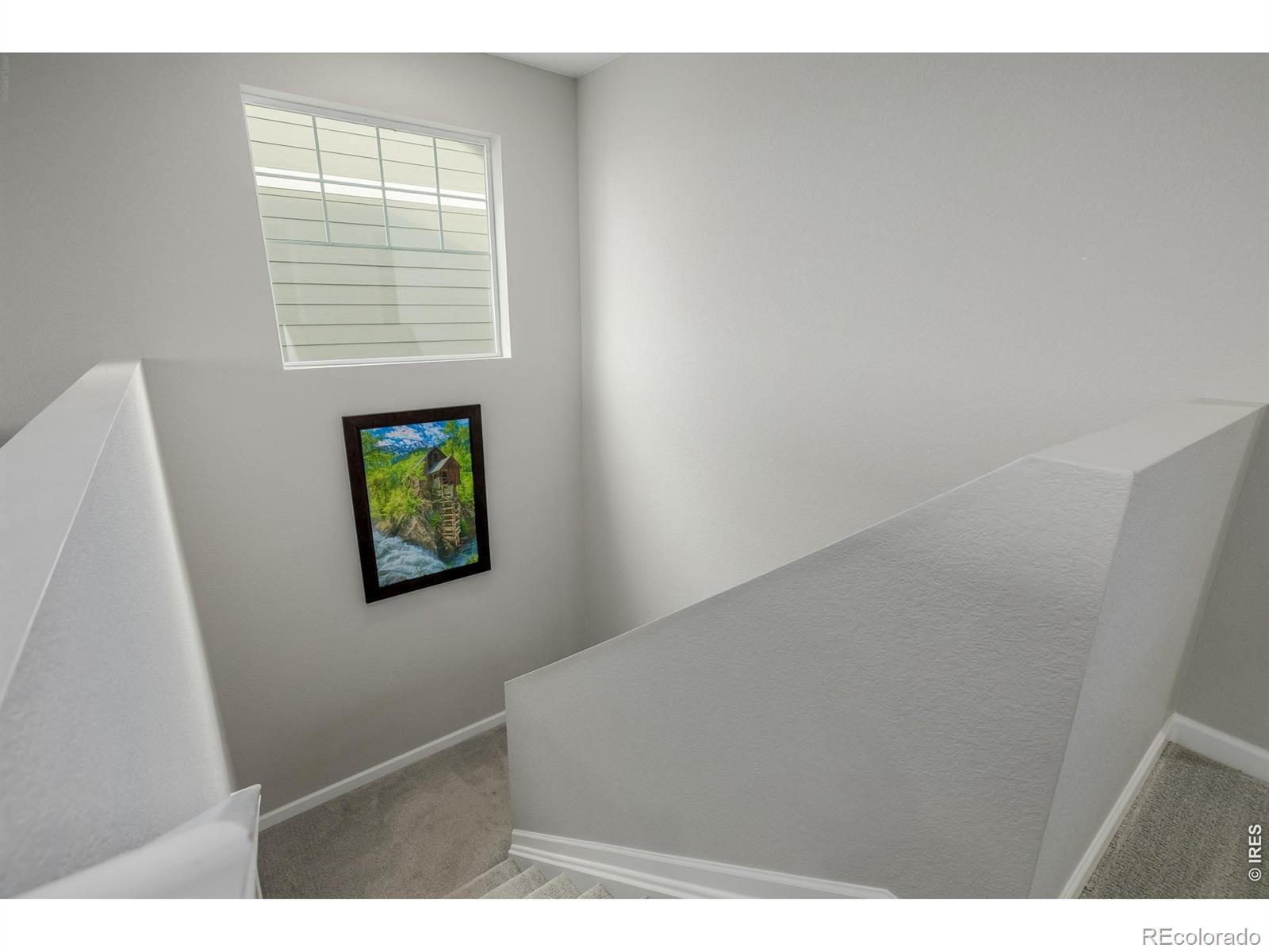 521 Bear Peak Court Erie CO 80516