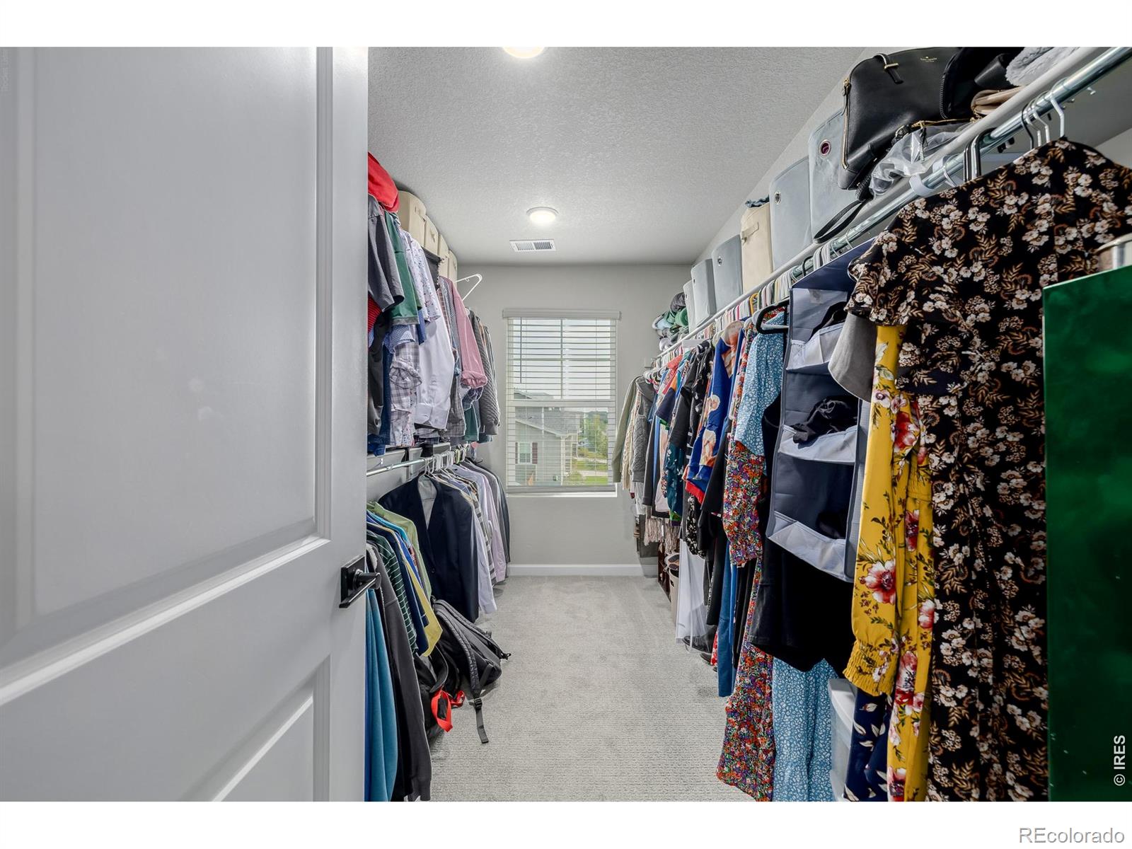 521 Bear Peak Court Erie CO 80516