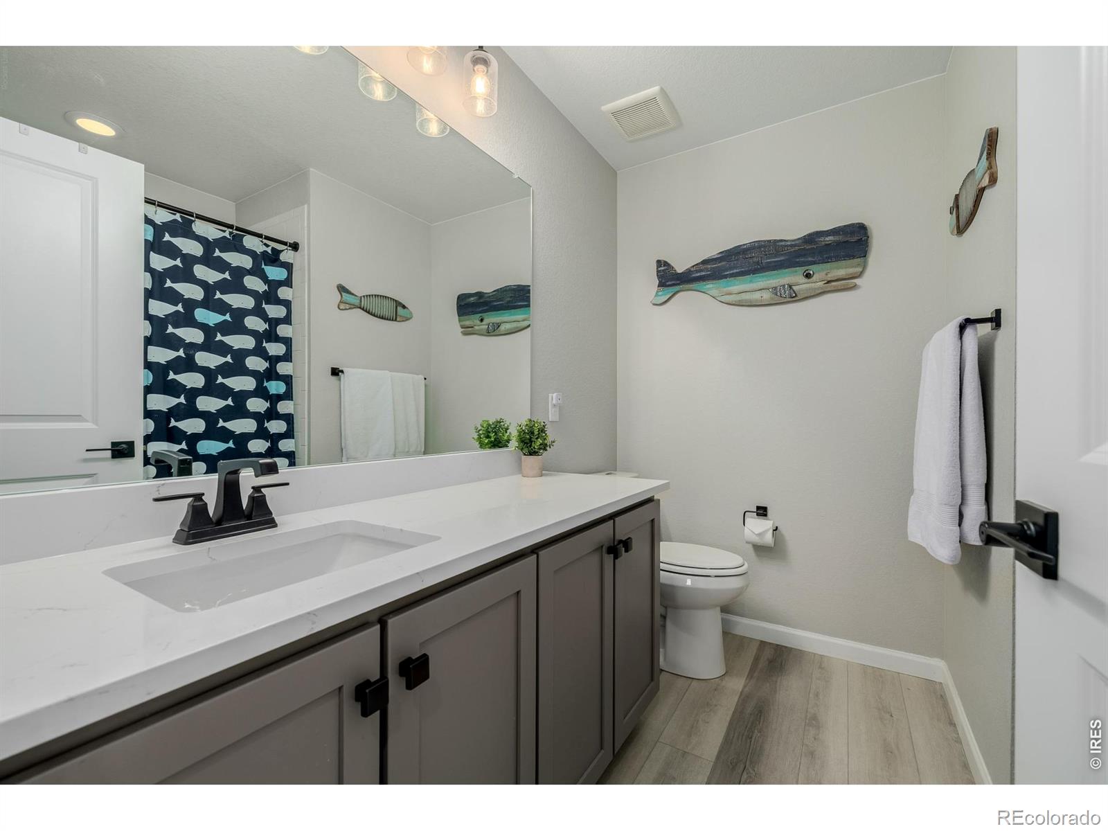521 Bear Peak Court Erie CO 80516